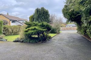 Photo 21- click for photo gallery